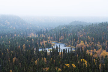 A view to river Kitka (Kitkajoki) and colorful forest during a misty autumn day in Oulanka National Park, Northern Finland - obrazy, fototapety, plakaty