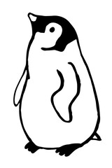 penguin