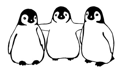 Fototapeta premium penguins