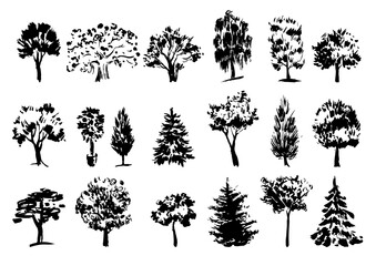 set of silhouettes of trees