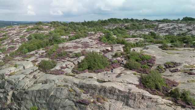 Fjallbacka Cliff and Heath Drone Pan