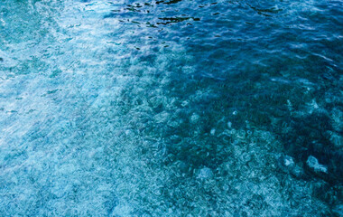 transparent tropical water and seagrass indonesia