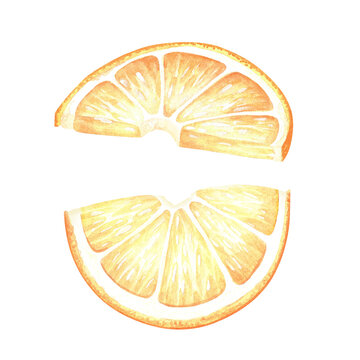 Two semicircular lemon slices. Watercolor illustration. Isolated on a white background. For your design stickers, nature prints, product packaging with citrus acid or scent