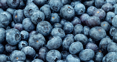 Fresh blueberries. Background from beautiful ripe berries.
