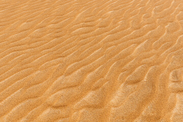 Oman Desert 