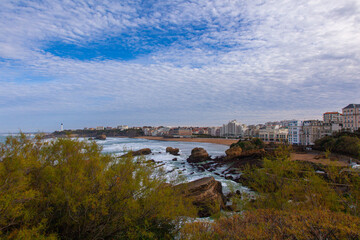 Fototapeta premium landscape with ocean and sky