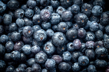 Fresh blueberries. Background from beautiful ripe berries.