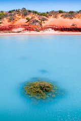 Roebuck Bay, Broome aerial shot of mangroves on orange beach with red dirt cliffs © Nick