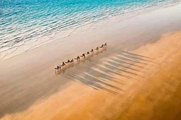 Zelfklevend Fotobehang Camel ride at sunset on cable beach Broome in Western Australia in golden hour © Nick