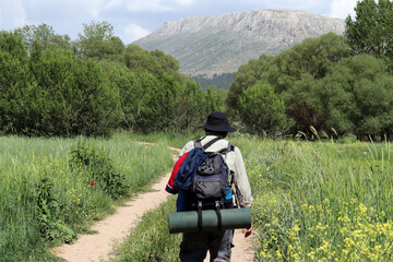 Backpacker walking in greenery. Nature lovers.