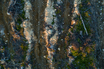 An aerial of a mineralized clear-cut area in Hossa, Northern FInland	