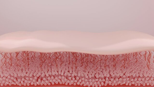 HIFU Laser shot skin to SMAS layer. 3D rendering.
