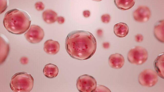 Red bubble of blood or stem cell floating on soft pink background. Molecules of Collagen and Beauty product concept. 3D rendering.