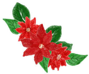 Watercolor christmas poinsettia 