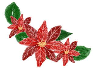 Watercolor christmas poinsettia 