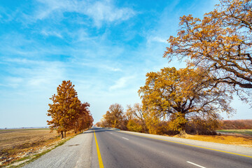 Empty asphalt road with autumn yellow trees