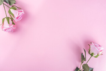 Pastel rose flowers on pink background