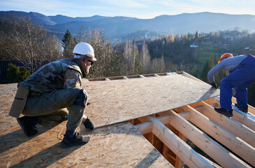 Carpenters mounting wooden OSB board on rooftop of future cottage. Men workers building wooden...