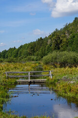 boat on the river