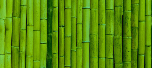 bamboo wall texture. Close up image of an old bamboo wall. decorative wall panel, yellow or green bamboo stems in a vertical pattern. Group of bamboo trees. scripts carved into a bamboo tree.