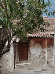 Ancient stone building with door and tree
