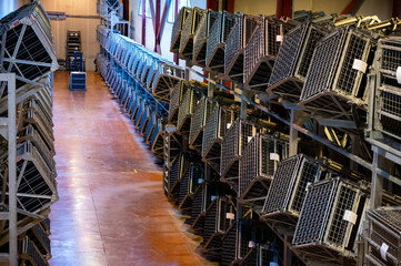 Production of cremant sparkling wine in Burgundy, France. Automatically powered riddling remuage boxes on factory.