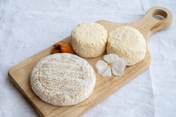 Taste of France, small round cheese Tome de Provence and matured small goat cheeses,...