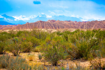 Natural unusual landscape of red rocks against the backdrop of blue mountains. The extraordinary beauty of nature is similar to the Martian landscape. Amazingly beautiful landscape.