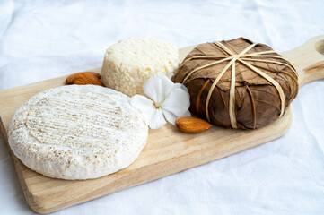 Taste of France, small round cheese Tome de Provence, matured small goat cheese and mountains...