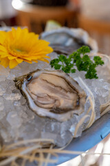 Fresh open oysters seafood served on ice with lemon in French restaurant