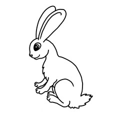 cartoon funny animal bunny rabbit black and white image 