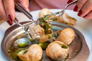Starter dish in traditional restaurants on Burgundy, snails cooked with butter, garlic and herbs