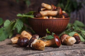 Pile of Imleria Badia or Boletus badius mushrooms commonly known as the bay bolete on vintage wooden background..