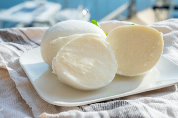 Tasting of white soft italian balls mozzarella cheese made from buffalo cow milk