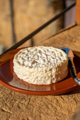 French cheeses collection, Saint-Félicien cow's milk cheese from Rhône-Alpes region of France designated a dauphinois cheese
