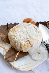 French mountains cheese banon wrapped in chestnut leaves made in Provence from unpasteurised goat milk