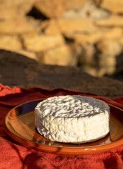French cheeses collection, Saint-Félicien cow's milk cheese from Rhône-Alpes region of France designated a dauphinois cheese