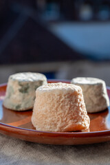 Small french goat cheeses, matured with grey mold from Macon, Burgundy, France