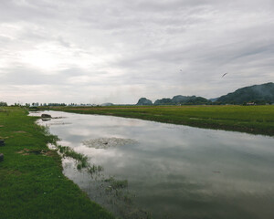 small river next to the paddy fields in Perlis, Malaysia.