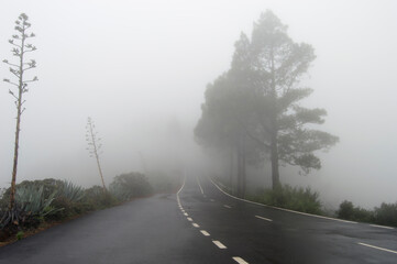 Niebla en el pico de las nieves
