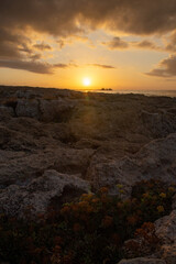 Fototapeta na wymiar Sunrise on the rocky coast with flowers, Cyprus 