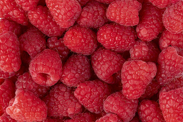 Raspberries. Fresh juicy raspberries bright background. Close-up.