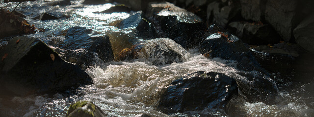 Impressions in Cinemascope