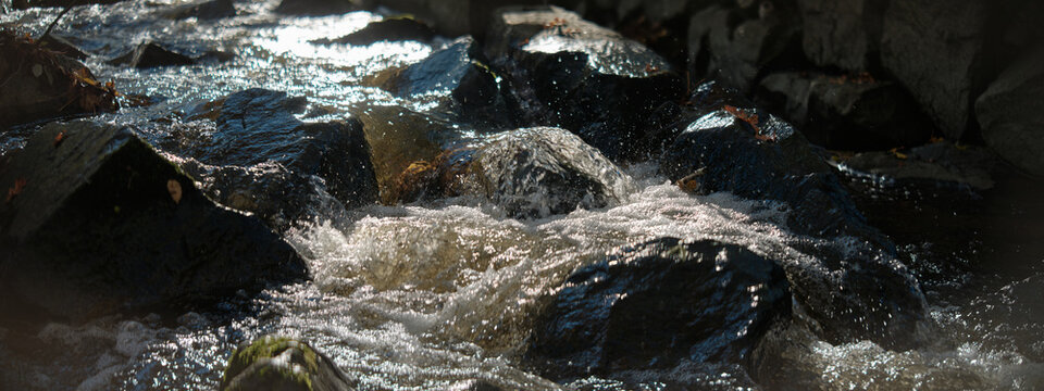 Impressions in Cinemascope
