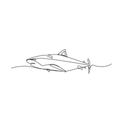 Shark vector illustration drawn in line art style