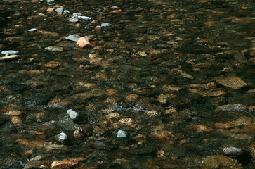 尾瀬初夏
春の水芭蕉の季節が過ぎてしばらくの間、尾瀬には静かなひと時が訪れる。人影も少なく、自分ひとり、この広大な湿原を独り占めにした気分。鳥のさえずり、小川のせせらぎ、葉擦れ音、尾瀬の澄んだ空気に溶け込んで、やさしく私の耳元でささやいているようだ。いつまでもこの空間に埋もれていたい、山の麓に居る安堵感が私の心を満たしている。でも、まだこの季節、日の落ちるのは早い。そろそろ今日の小屋に向かうとする