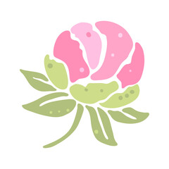 Illustration of peony flower. Beautiful decorative plant.