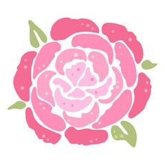 Illustration of peony flower. Beautiful decorative plant.