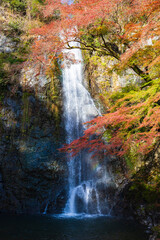 Fototapeta premium 箕面の滝