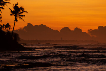 Fototapeta na wymiar A closeup shot of silhouettes of palm trees near the sea at sunset